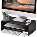 Computer Monitor Riser Desktop Stand with Storage Space 2, 528 oz
